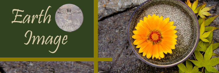 Earth Image Massage Therapy